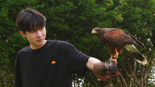 banner